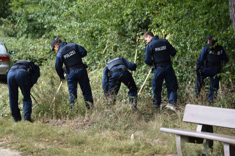 Systematisch wurde das Waldstück nach Hinweisen abgesucht.
