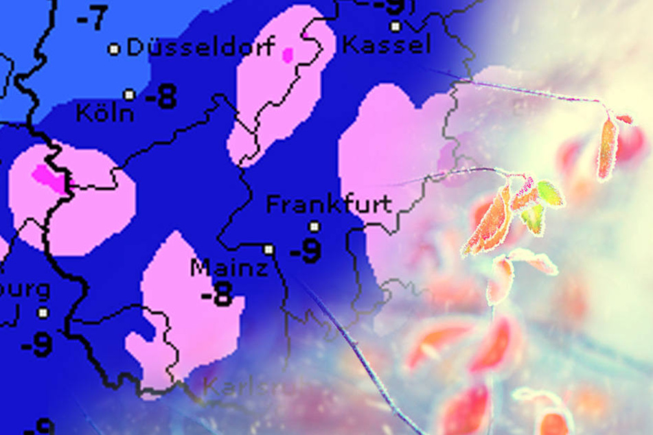 Ganz gewöhnlich ist die aktuelle Wetterlage für das Rheinland nicht.