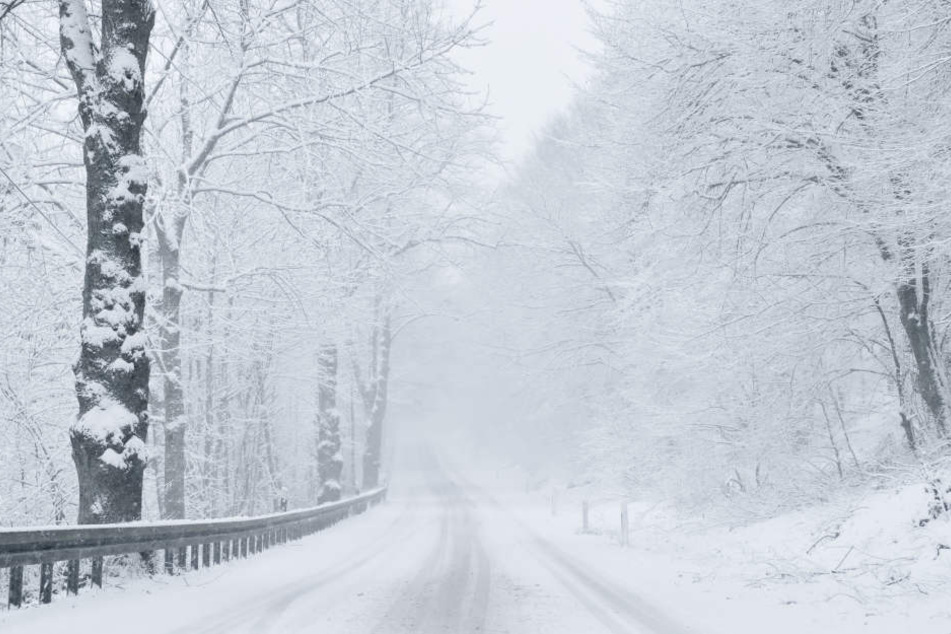 Die Wege zu den Gaststätten waren von Bäumen und Schnee blockiert. (Symbolbild)