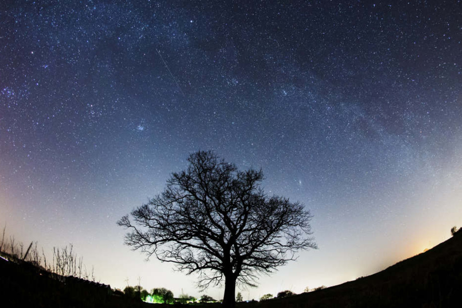 Wissenschaftler haben sieben erdähnliche Planeten entdeckt. (Symbolbild)