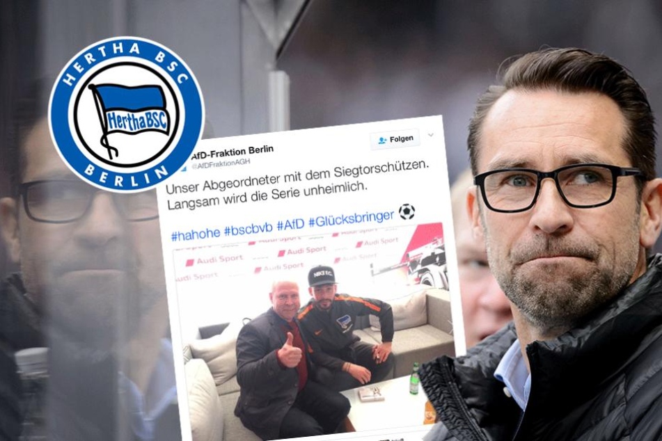 Hertha will einstweilige Verfügung gegen die AfD - TAG24