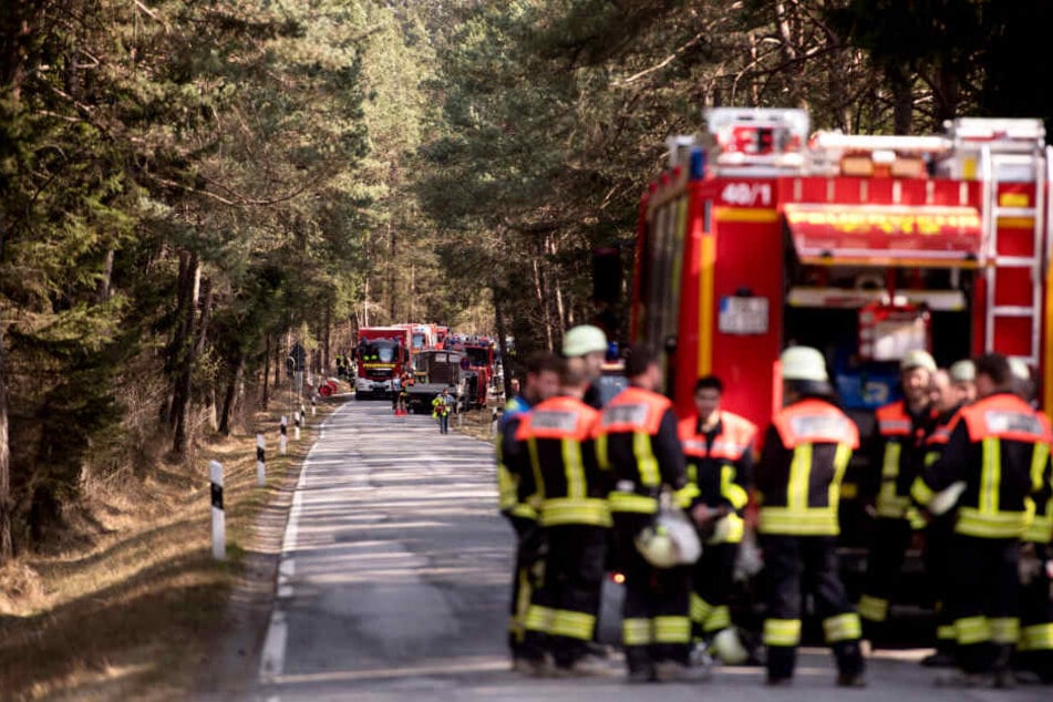 Die Feuerwehren weisen auf absolutes Feuerverbot im Wald hin. Ansonsten kann schnell ein Waldbrand entstehen. (Symbolbild)
