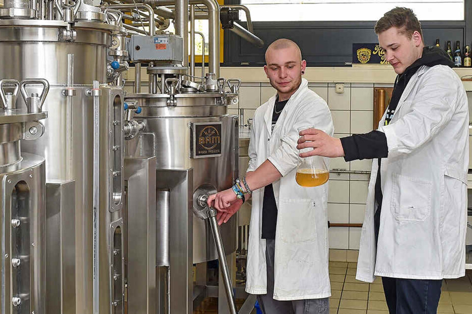 Das wahrscheinlich
beste sächsische Bier ...
wird an der Brauerschule
in Dresden gebraut.