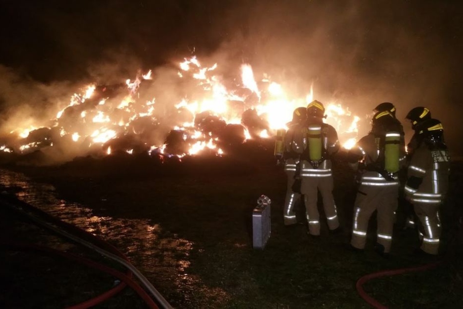 Mehrere Dutzend Feuerwehrleute mussten ausrücken, um den lichterlohen Brand unter Kontrolle zu bekommen.