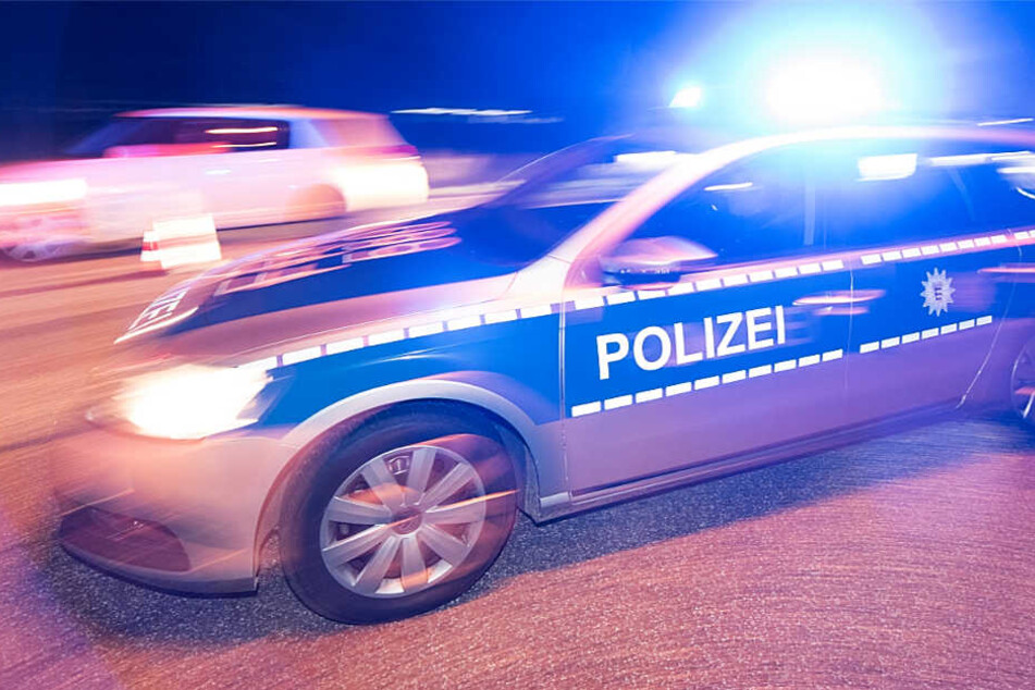 Die Polizei rückte an und kümmerte sich um den verunglückten Hund (Symbolbild).