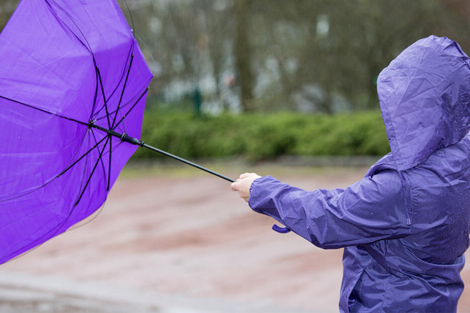 Gleich sollen in Dresden Starkregen und sogar Hagel auf dem Programm stehen (Symbolbild).