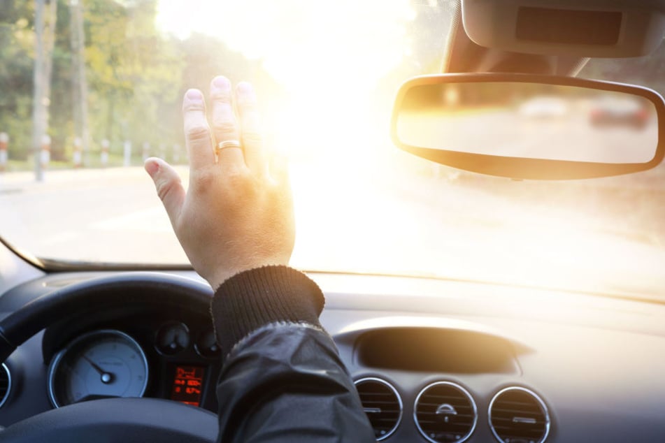 Vom Scheinwerfer geblendet, konnte der Autofahrer der kleinen Kuhherde nicht mehr rechtzeitig ausweichen. (Symbolbild)