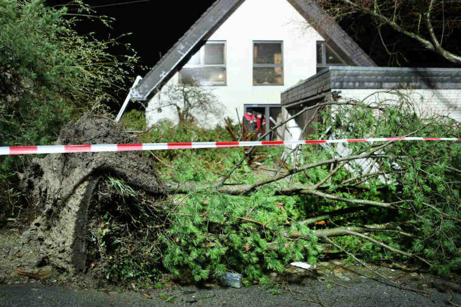 Das Sturmzentrum traf die Hauptstraße der Ortschaft, mehrere Häuser können vorerst nicht mehr bewohnt werden.