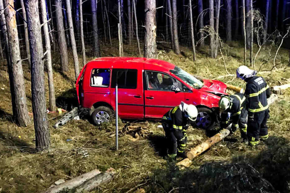 Ein 39 Jahre alter Mann kam in der Nacht zu Dienstag von der A115 ab und krachte gegen mehrere Bäume.