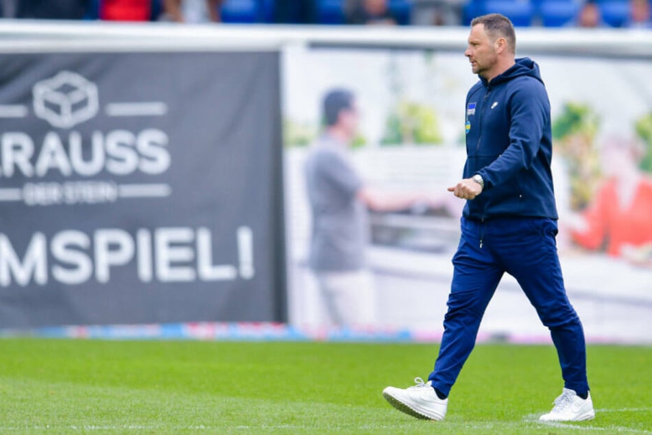 Pal Dardai nach dem Spiel in Hoffenheim.