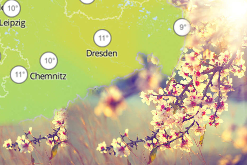 Am Wochenende klettert das Thermometer auf bis zu 11 Grad.