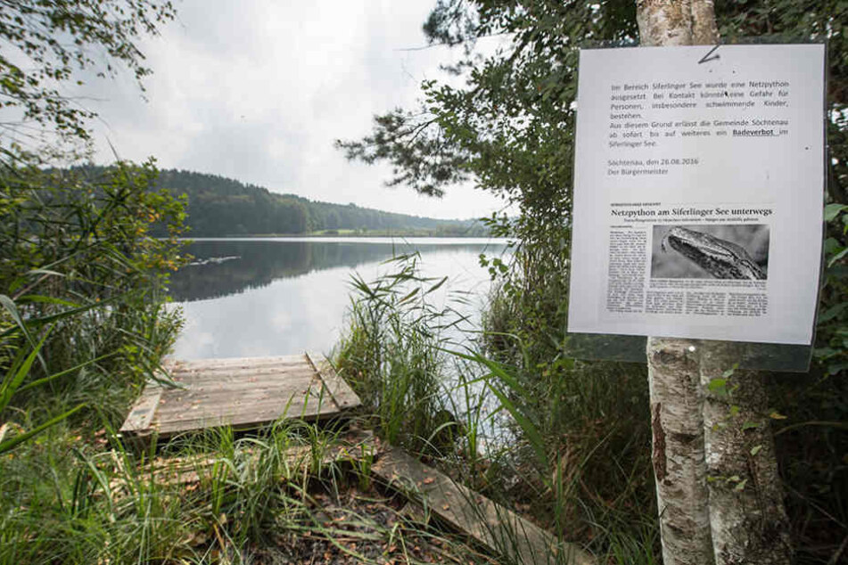 Mit Hinweisschildern wurde über die vor zwei Wochen von Fischern im Siferlinger See gesichtete Anakonda informiert.