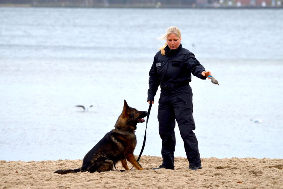 Frauchen Sonja trainiert fleißig mit Polizeihund "Chaos".
