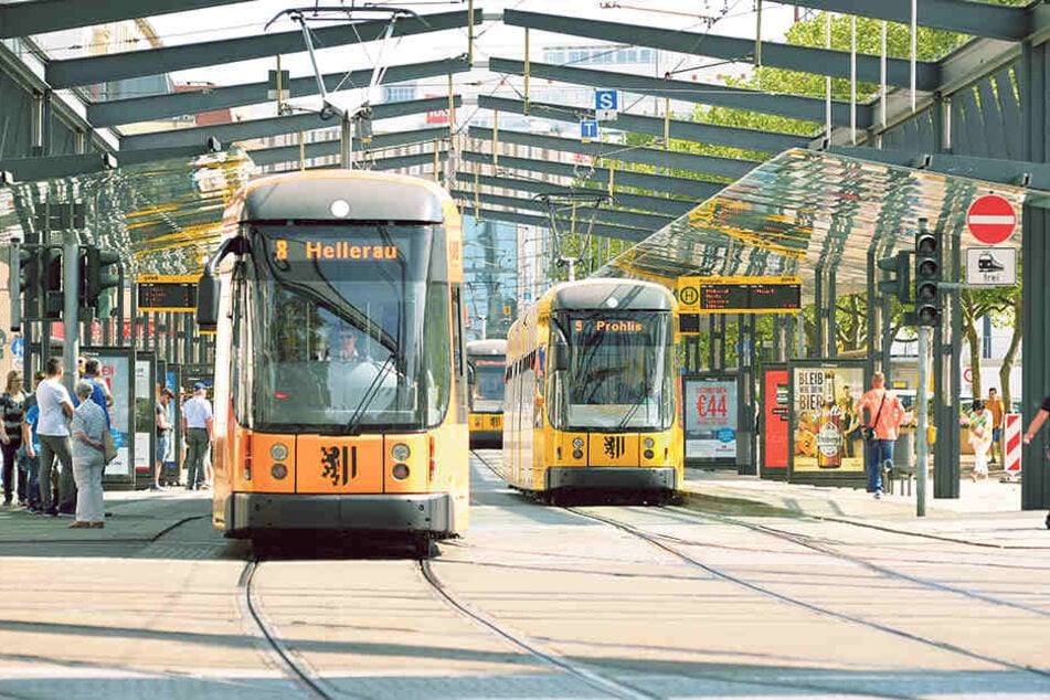 Aktuell besitzten die DVB 166 Straßenbahnen.