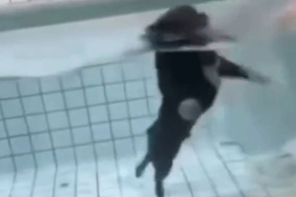Der Hund konnte nicht schwimmen, rang verzweifelt um sein Leben.