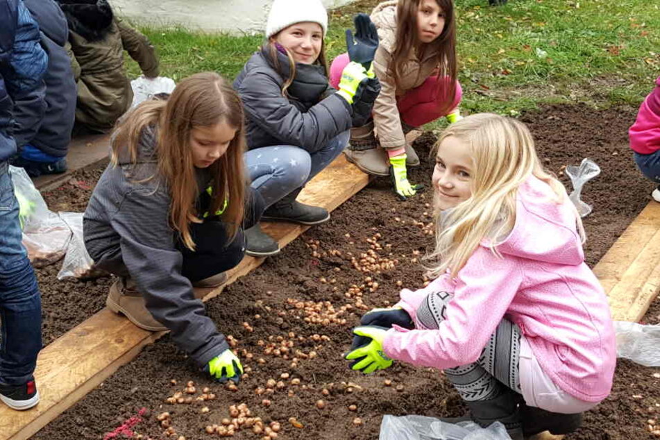 Die fleißigen Hortkinder der Schillerschule pflanzten die Blumenzwiebeln, weil sie auch zukünftig in einem bunten Stadtteil leben möchten.