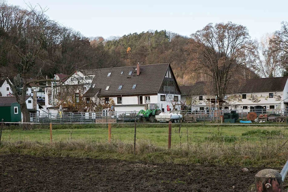Auf der Ranch "Western Inn" geht nach der Pferdeschändung die Angst.