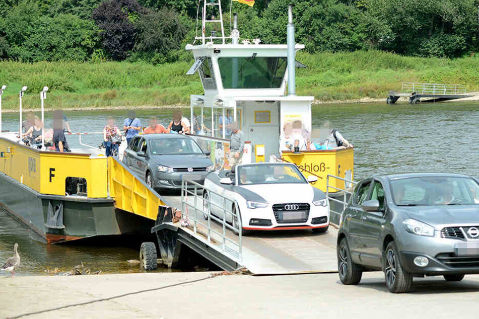 Auf einer Elbfähre in Zahna-Elster soll ein Mann absichtlich den Rückwärtsgang seines Autos eingelegt und damit sich und seine Frau in die Fluten gestürzt haben (Symbolbild).
