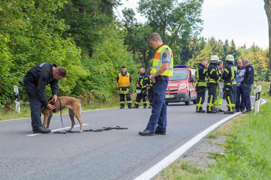 Für die Suche nach dem Fahrer wurde auch ein Fährtenhund eingesetzt.
