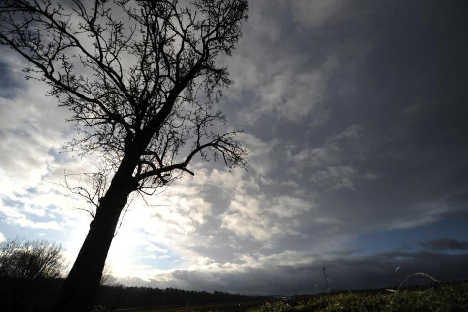 Der Sturm wütete stark in Kassel und Umgebung.