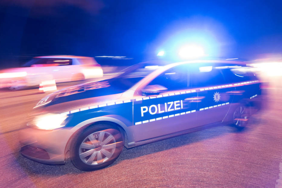 Die Polizei will keine Details zu den beschädigten Kunstwerken bekanntgeben (Symbolbild).