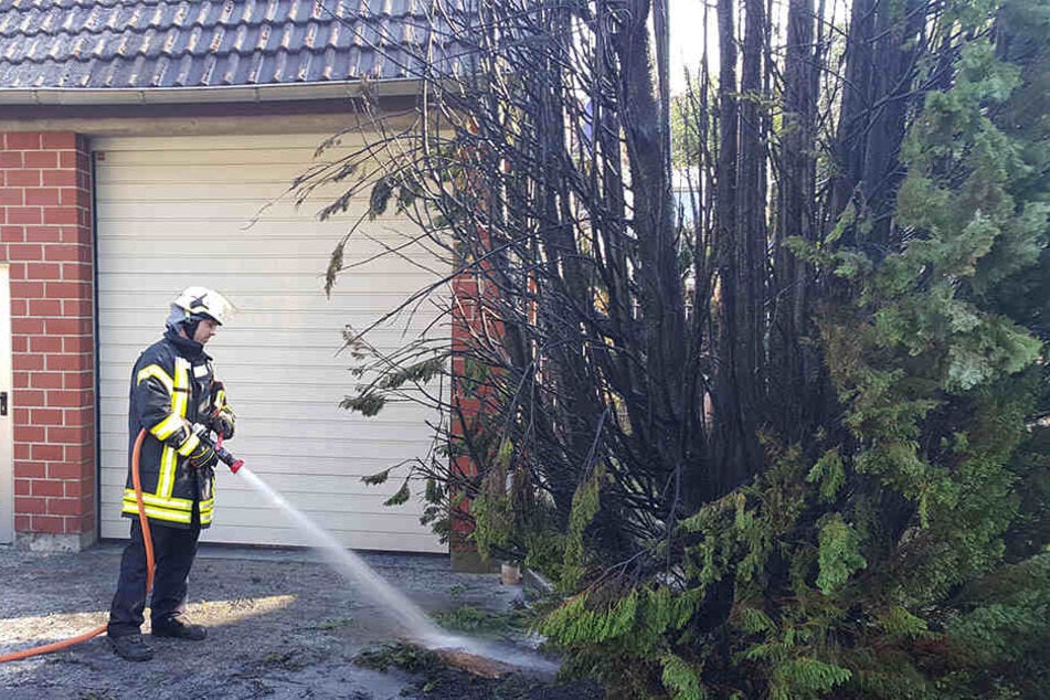 Die Feuerwehr aus Lage musste lediglich Nachlöscharbeiten durchführen.