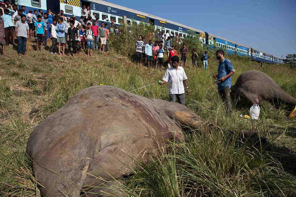 Schaulustige betrachten zwei tote Elefanten, die in der Nähe von Guwahati (Indien) neben einem Bahngleis liegen.