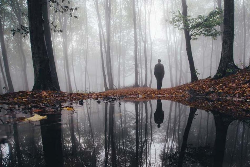 Um ihm einen Denkzettel zu verpassen setze eine Frau ihren Ex nackt im Wald aus (Symbolbild).