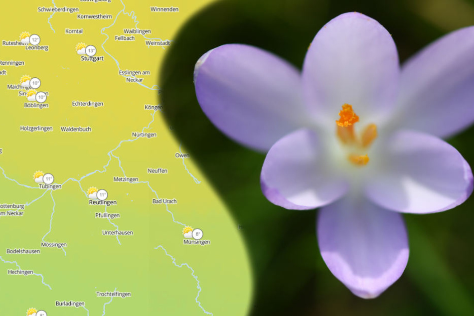Nach dem frostigen Wetter der letzten Tage startet die neue Woche mit deutlich höheren Temperaturen. (Symbolbild/Fotomontage)