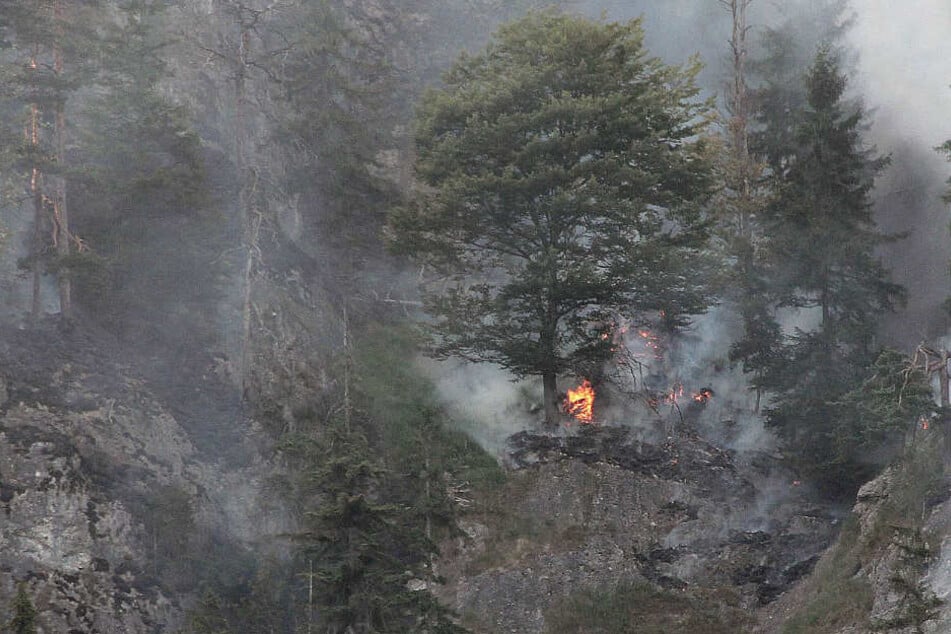 DAs Feuer im Bergwald bei Oberaudorf ist wieder aufgeflammt