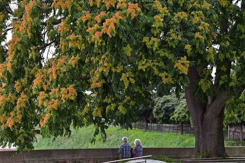 In Thüringen wird der Herbst bereits begrüßt...