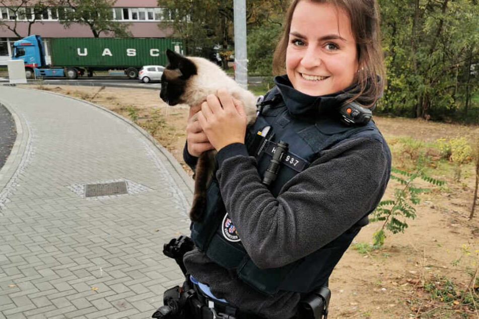 Das Foto zeigt Polizeikommissarin Katalin Hajnadi mit der geretteten Katze.
