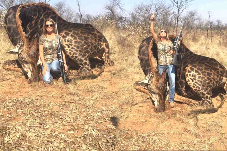 Tess Thompson Talley bringt viel Internet-User mit ihrer Trophäenjagd in Rage.