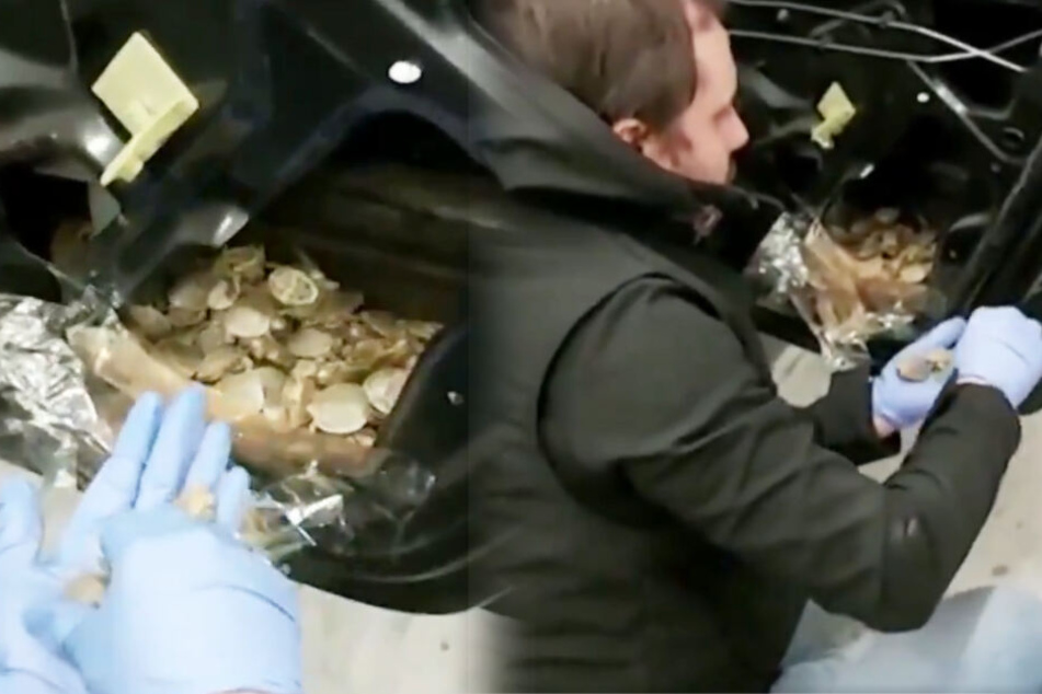 Über 5000 Schildkröten wurden hinter der Türverkleidung gefunden.