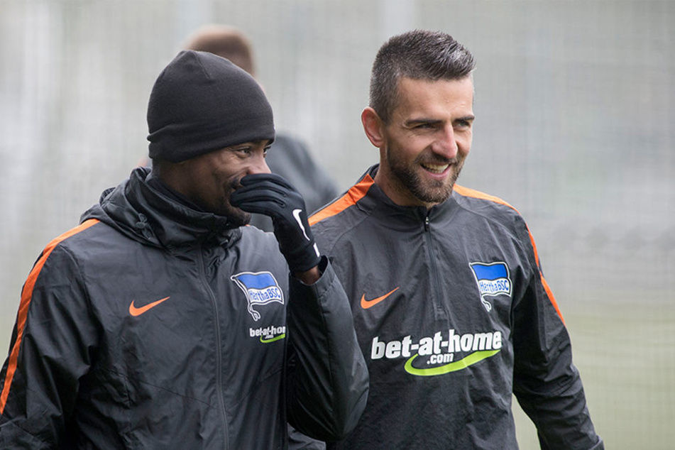 Unzertrennlich: Kalou (l) und Ibisevic - Herthas Top-Stürmer-Paar will in der kommenden Saison nochmal angreifen.