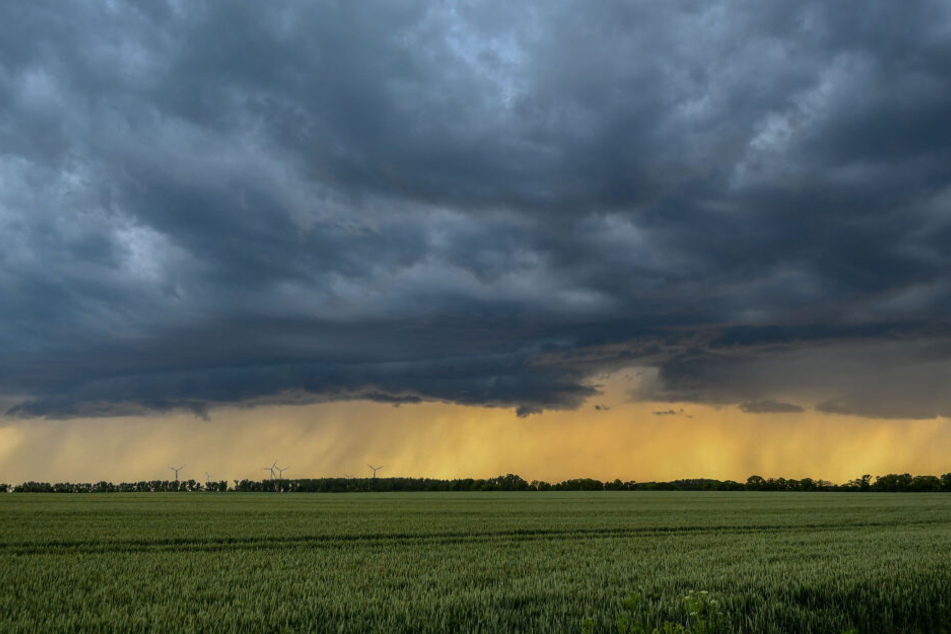 Am Donnerstag ging eine Regenfront über Magdeburg nieder.