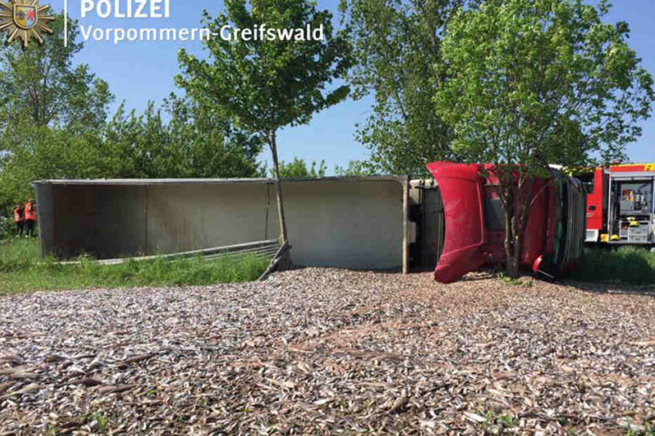 Die Fisch-Ladung liegt verstreut im Graben neben der B109.