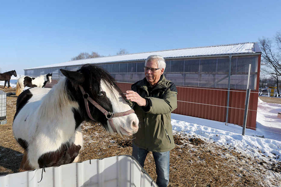Ortsvorsteher Hans-Joachim Siegel (73) ist stolz auf die drei Reitvereine und
das ganze Vereinsleben in Röhrsdorf.