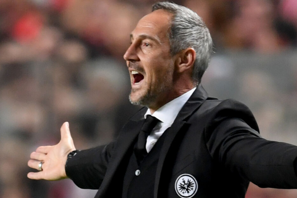 Trainer Adi Hütter bei Europa-League-Spiel am 11.04.2019 gegen Benfica Lissabon. Frankfurt