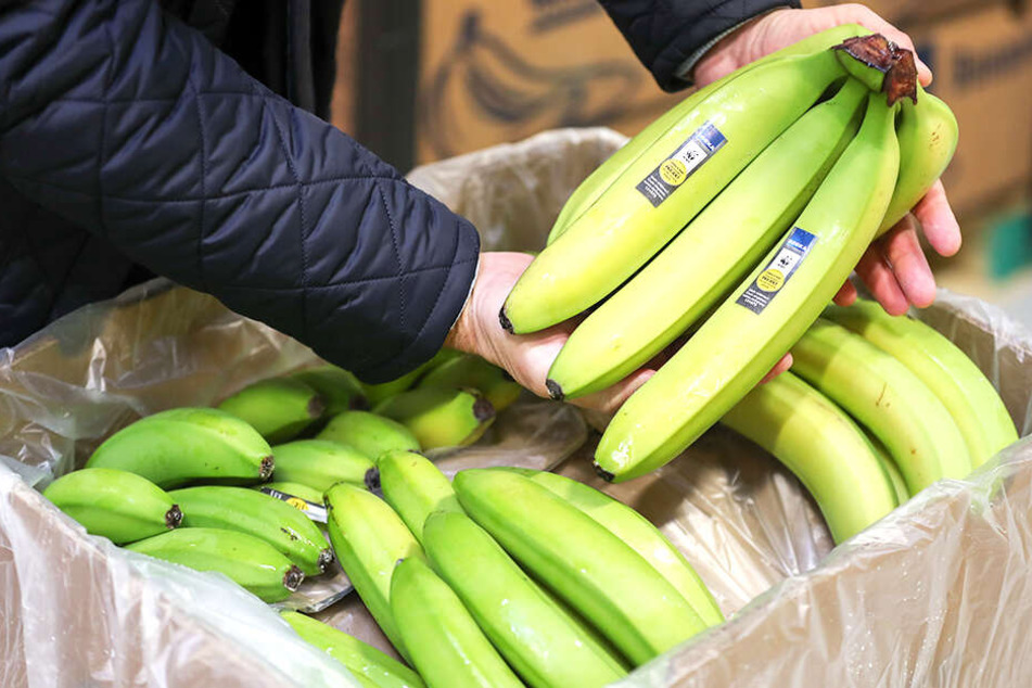 Verschwinden unsere Bananen demnächst aus den Supermärkten? (Symbolbild).