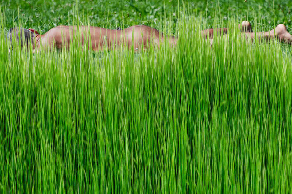 Da das Gras 1,20 Meter hoch war, habe der Unfallverursacher nicht bemerkt, dass sich dort ein Mensch gesonnt hatte.