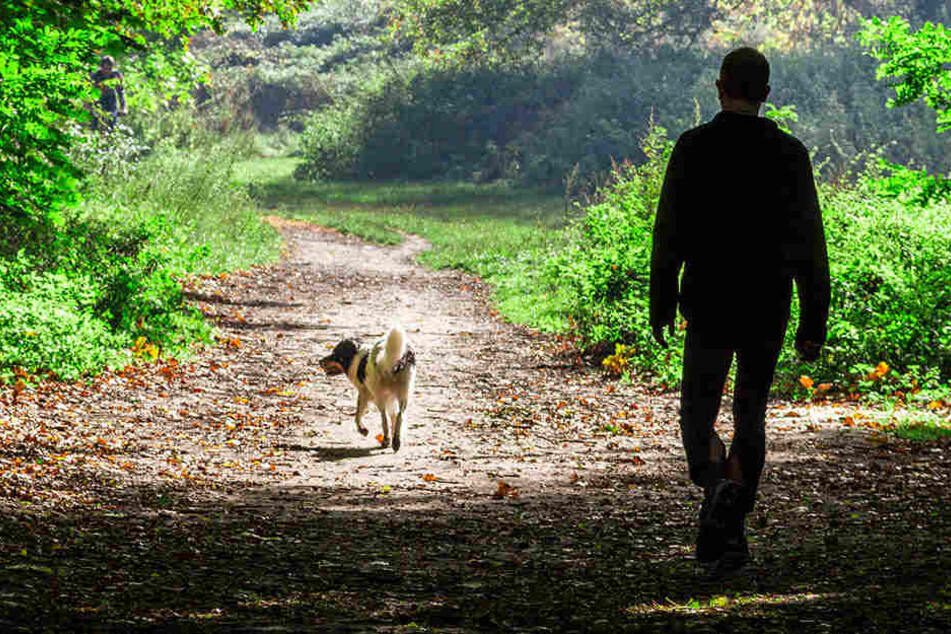 In einem Park in Nordhausen ist ein Streit um freilaufende Hunde eskaliert. (Symbolbild)