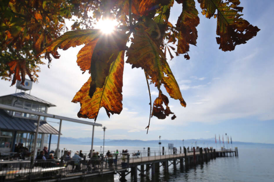 Blick auf den Bodensee mit einem Steg, der ins Wasser führt.