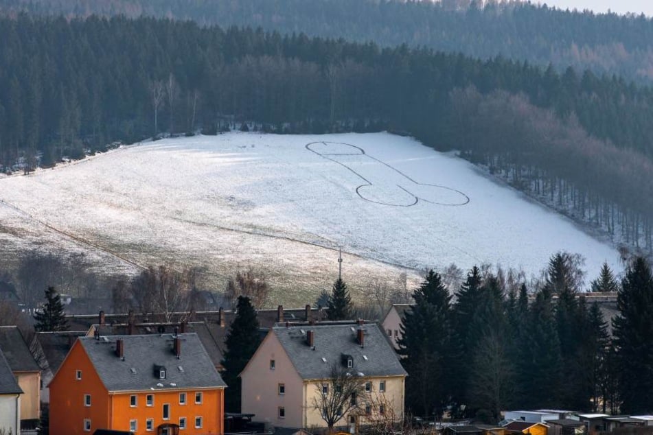 Das Original: Vor etwa zwei Wochen ist der etwa 50 Meter große Riesenpenis in Lößnitz entstanden.