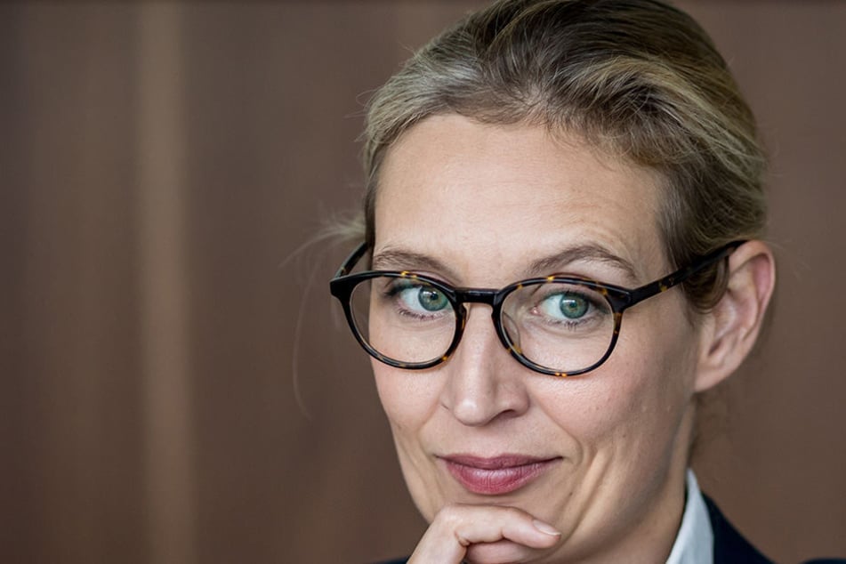 In einem Video-Interview erzählt Alice Weidel über Homosexualität, Drogen und ein Tyrannen-Quartett.