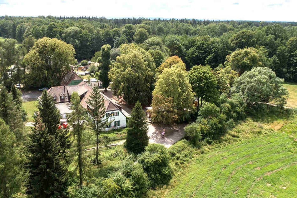 Die Hofewiese ist jetzt Wolfs Revier. Chef Holger Zastrow (50) hat den Isegrim aber noch nicht gesehen.