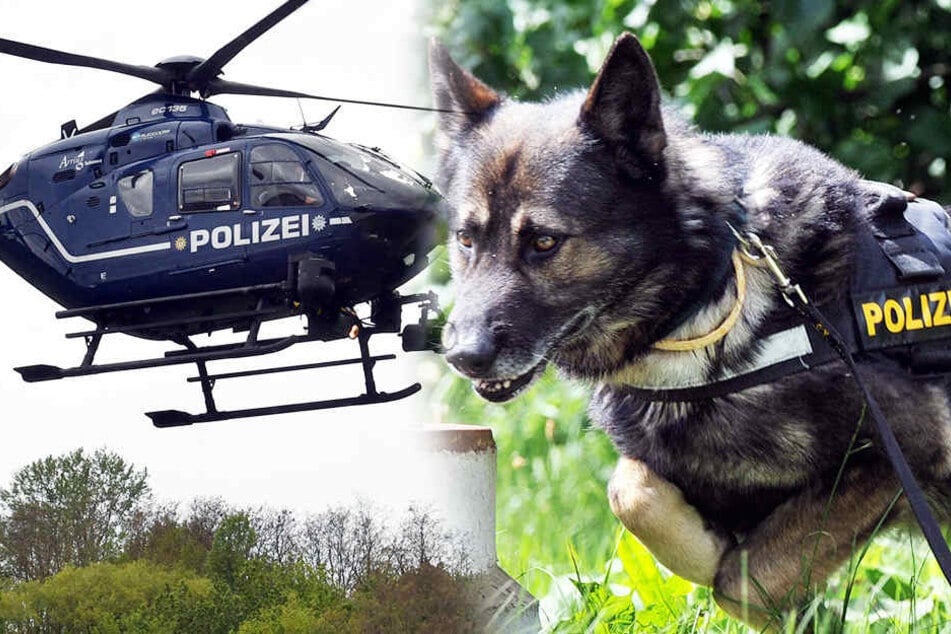 Hubschrauber und Hund war es zu verdanken, dass die Polizei die Diebe gleich schnappen konnte.