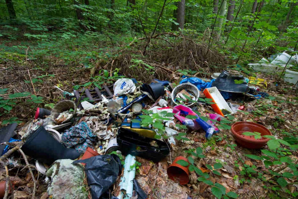 Illegal abgeladener Müll am Waldrand.