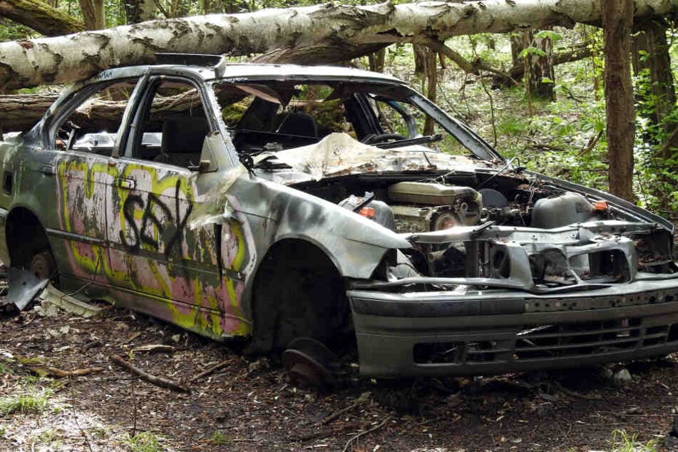 Eine Gefahr für Abenteuer-Kids und die Umwelt: Dieses Wrack steht mitten im
dichten Wald.