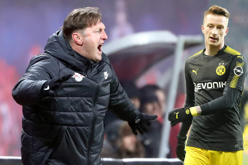 Ralph Hasenhüttl (l.) ist außer sich! Der RB-Trainer kann nicht fassen, dass das vermeintliche Abseitstor von Marco Reus (r.) zählt.